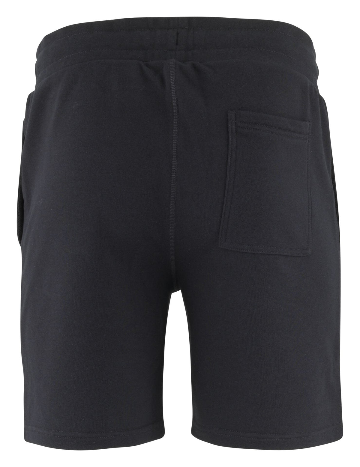 Benger BASIC