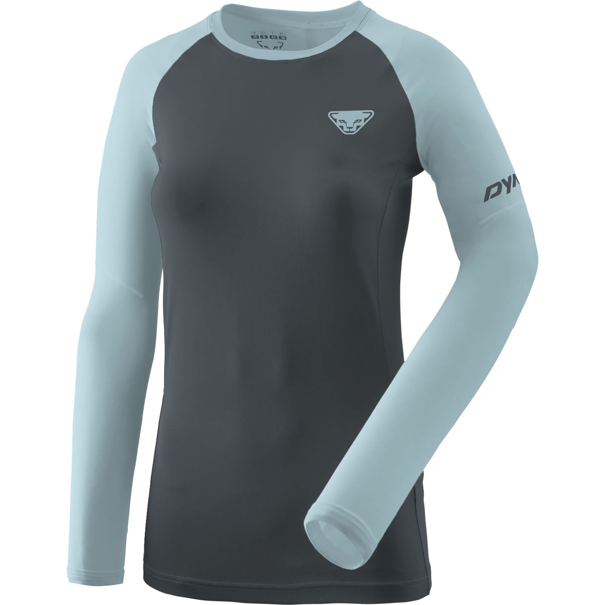 Dynafit Alpine Pro Longsleeve – blau