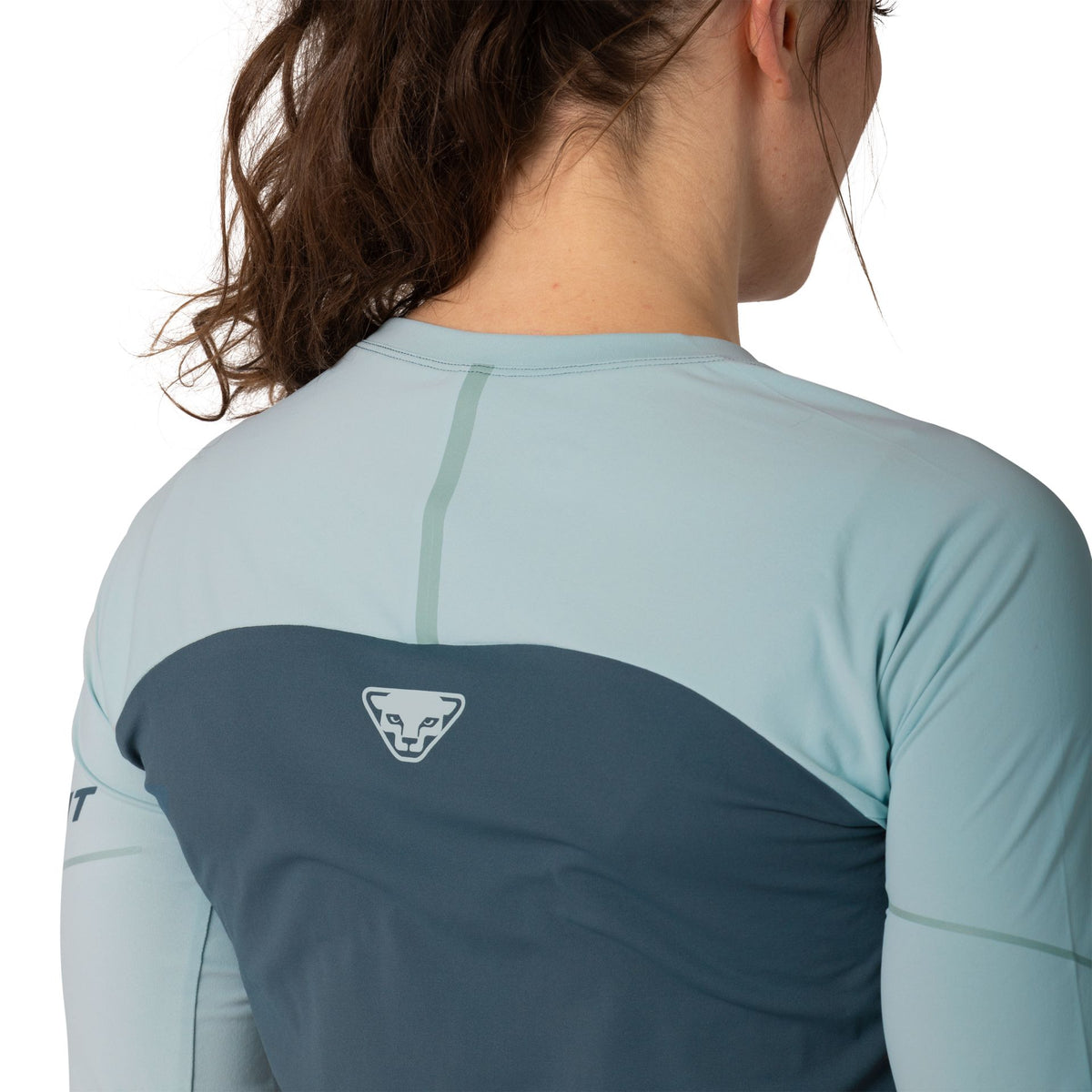 Dynafit Alpine Pro Longsleeve – blau