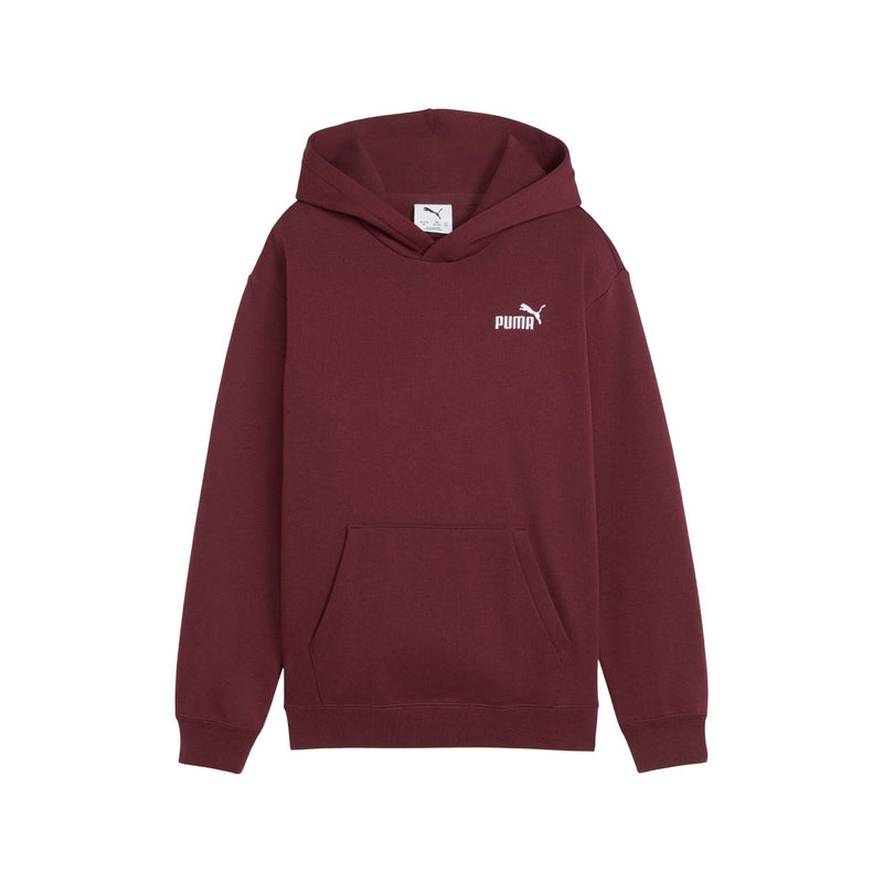 Puma ESS Small No. 1 Logo Relaxed Hoodie FL