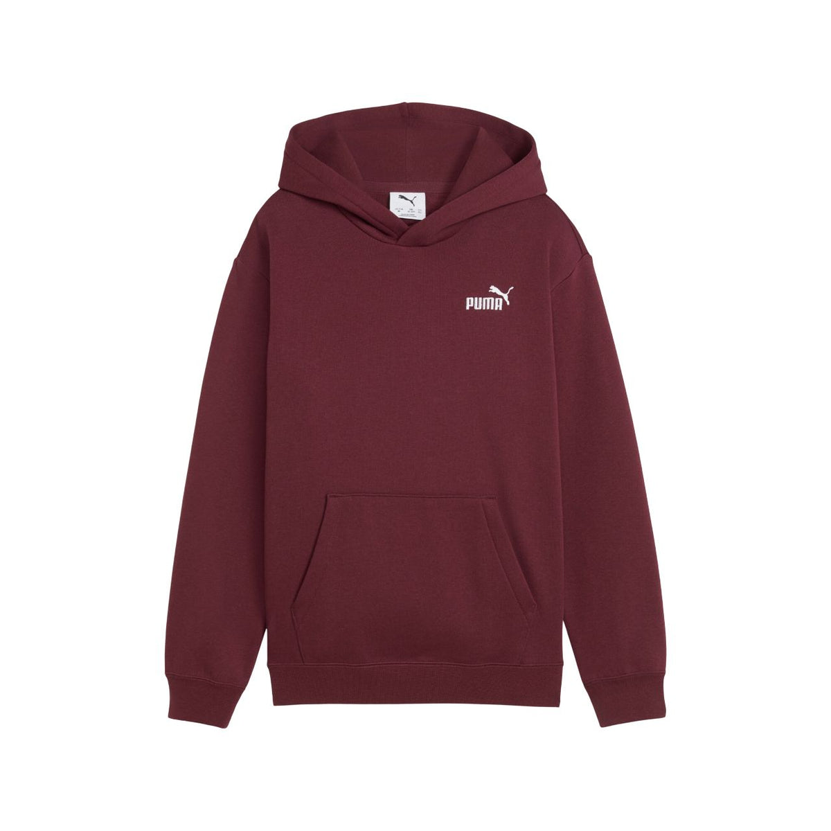 Puma ESS Small No. 1 Logo Relaxed Hoodie FL