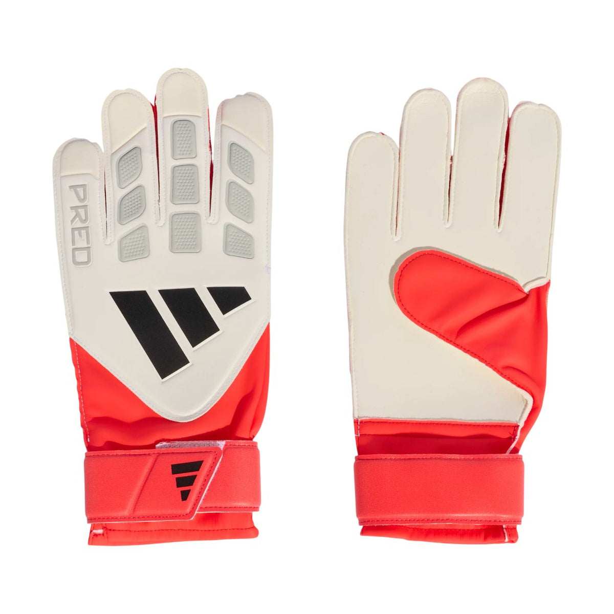 Adidas Predator Training
