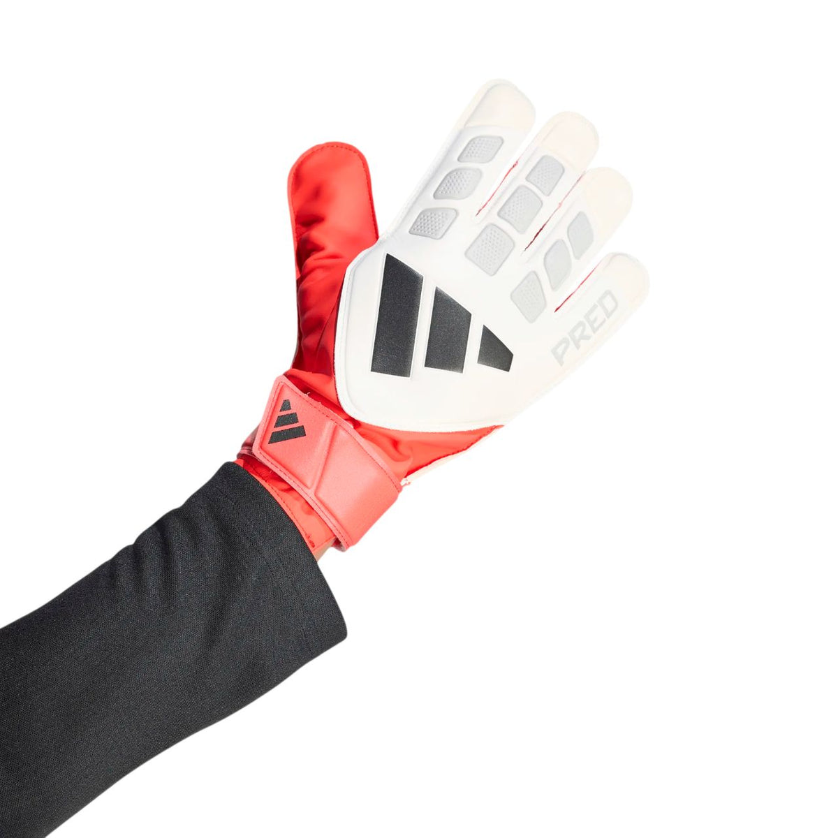 Adidas Predator Training