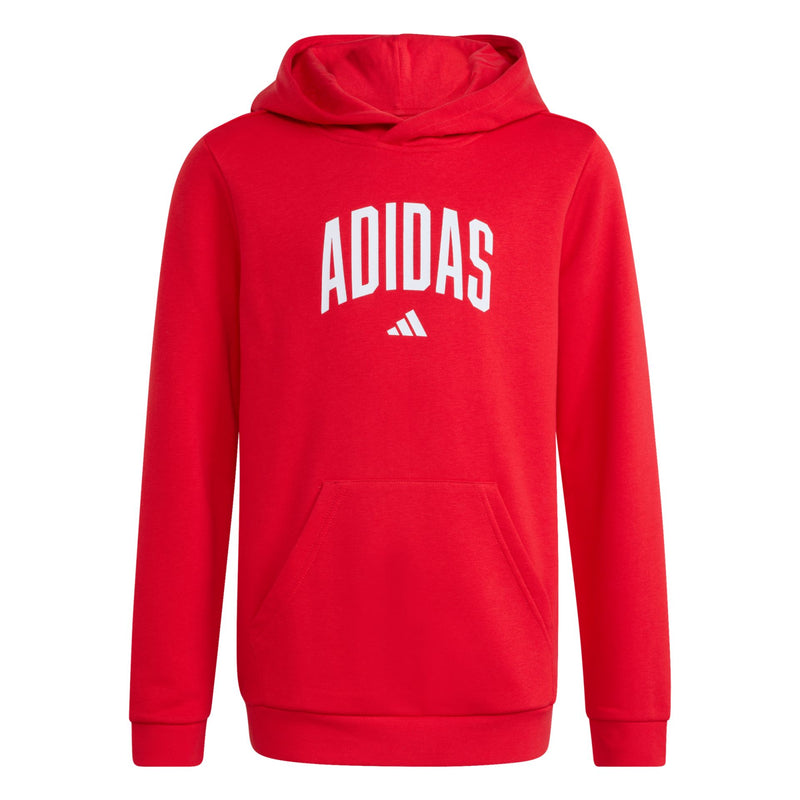 Adidas Codes Collegiate Graphic Hoodie