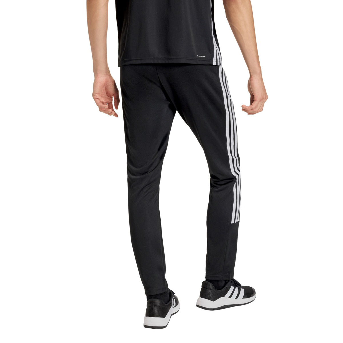 Adidas Workout Essentials All Set 3-Stripes Pant – schwarz