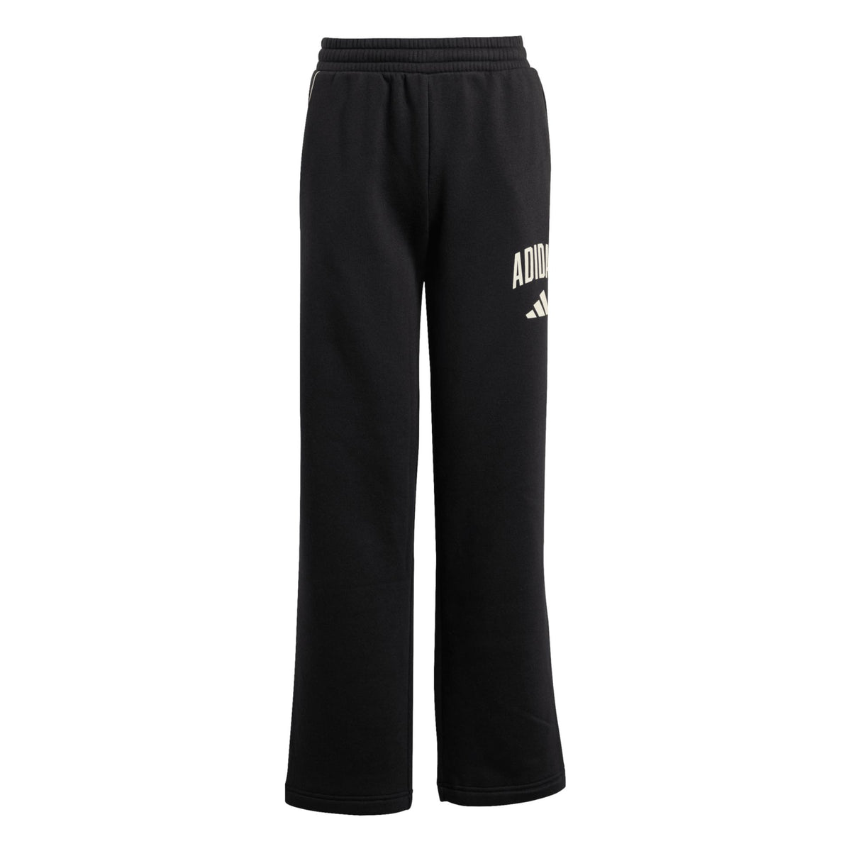 Adidas Seasonals Collegiate Typography Pant