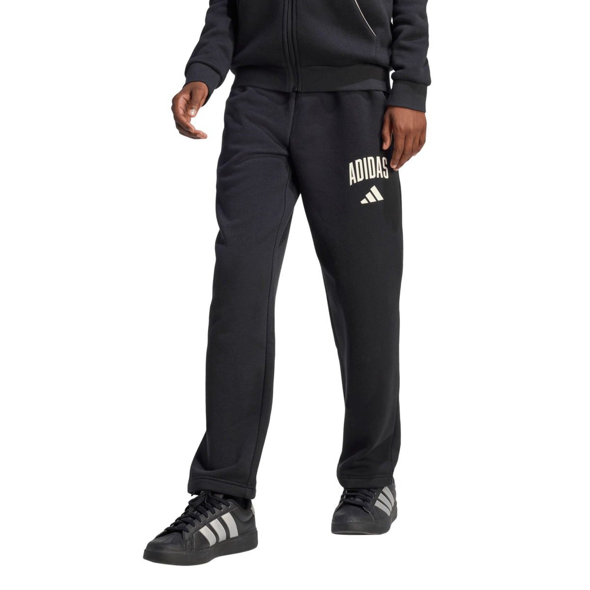 Adidas Seasonals Collegiate Typography Pant