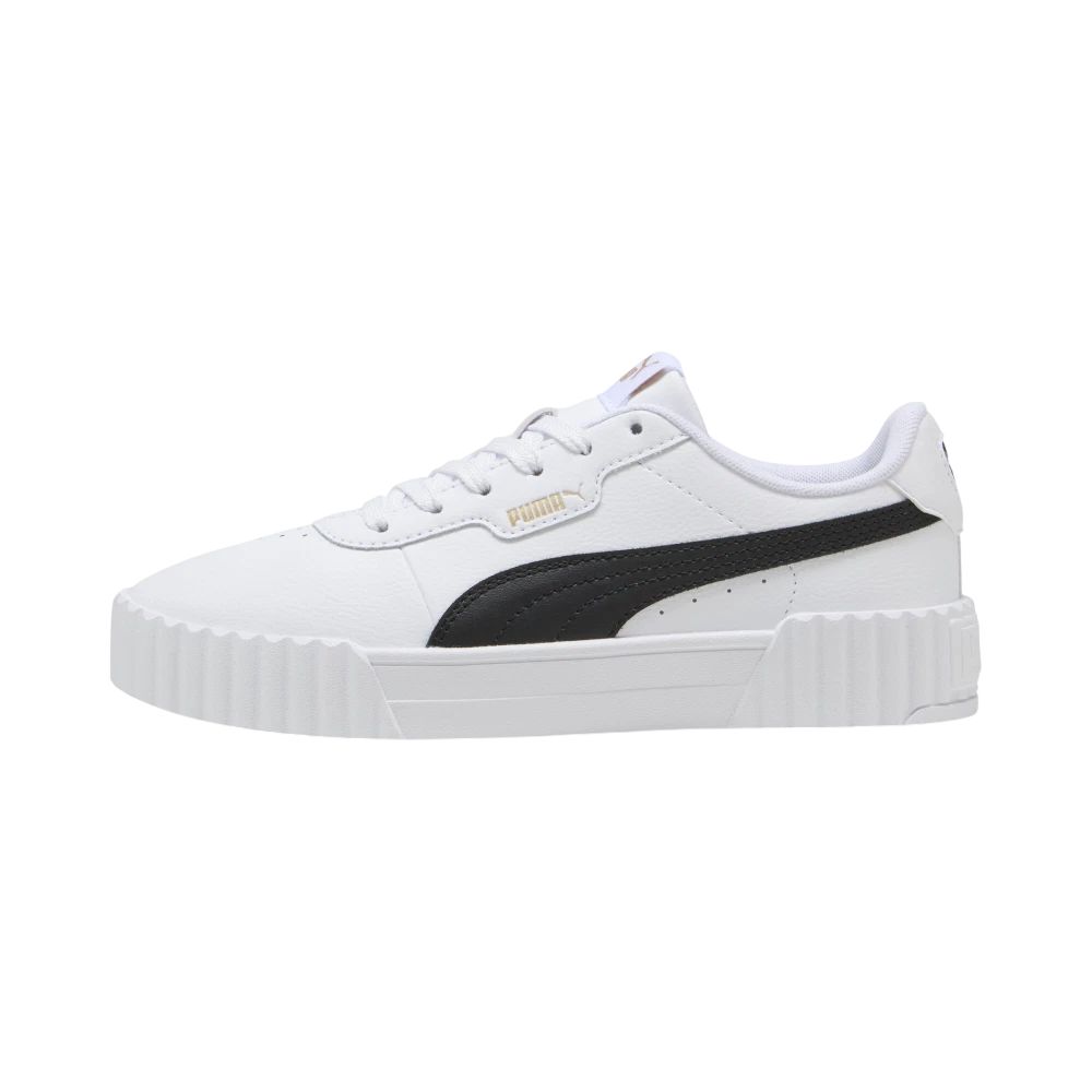 Puma Carina 3.0