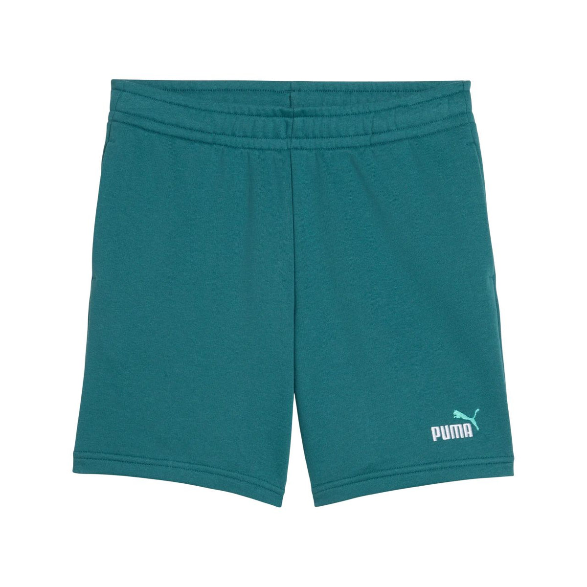 Puma ESS 2 COLOR No. 1 Logo Shorts TR B