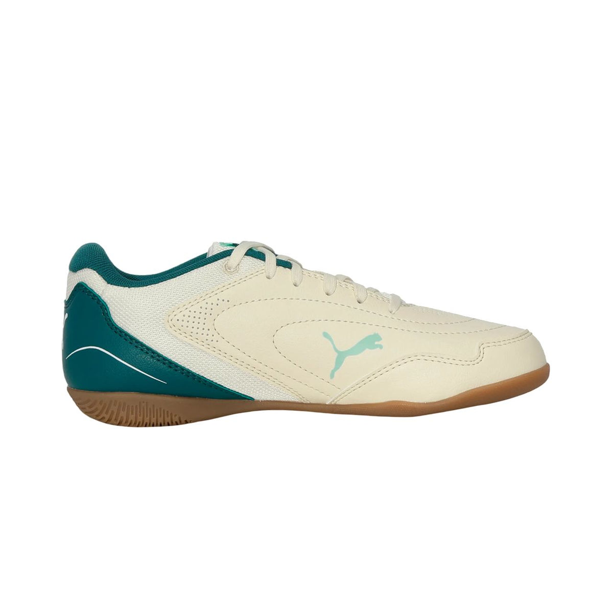 Puma TRUCO IV Jr