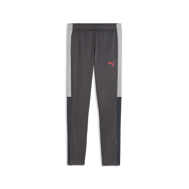 Puma IndividualLIGA Training Pants Jr