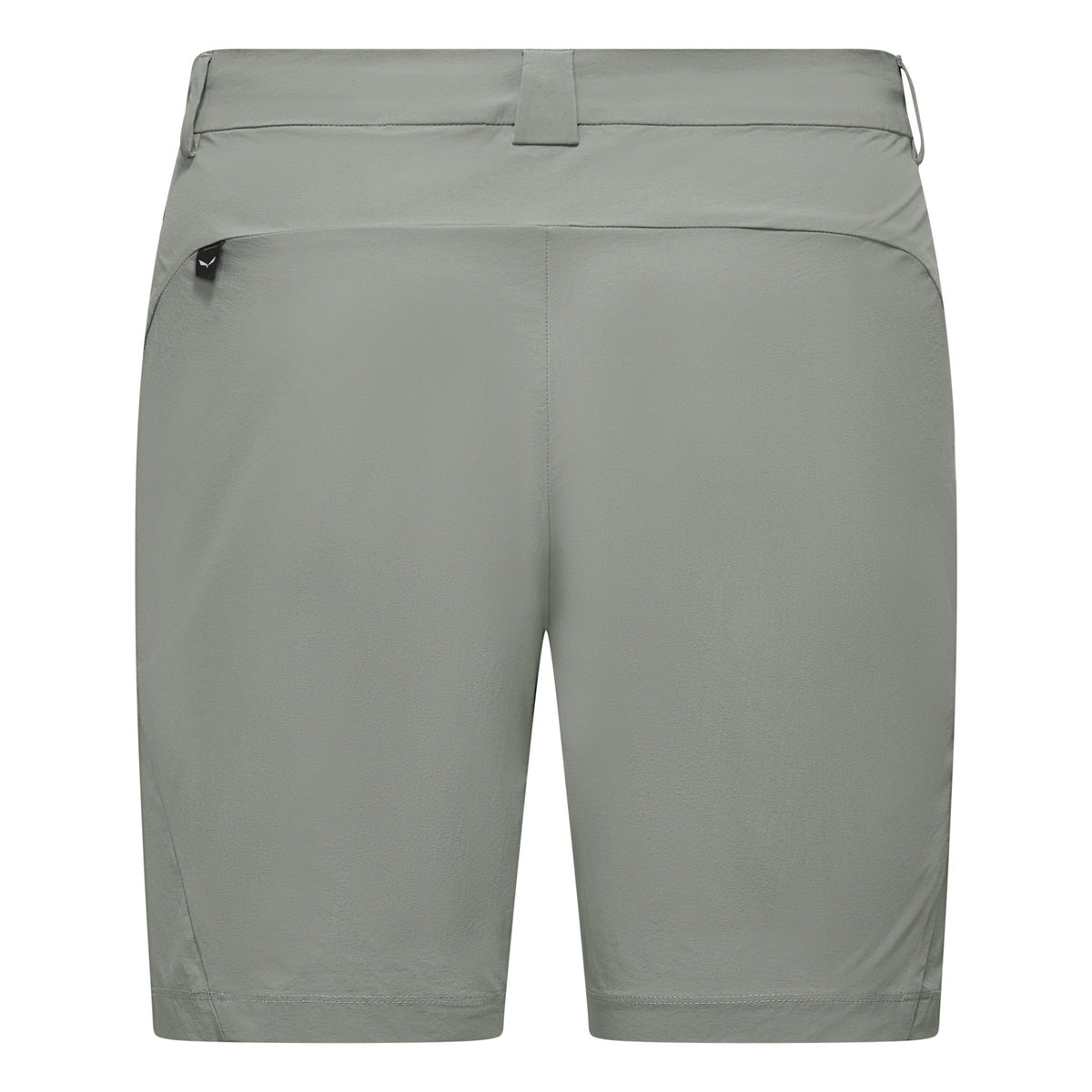 Salewa Puez Talvena DST Shorts – grün