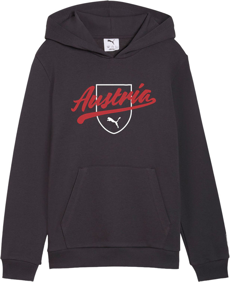 Puma Österreich FtblCulture Hoodie Jr