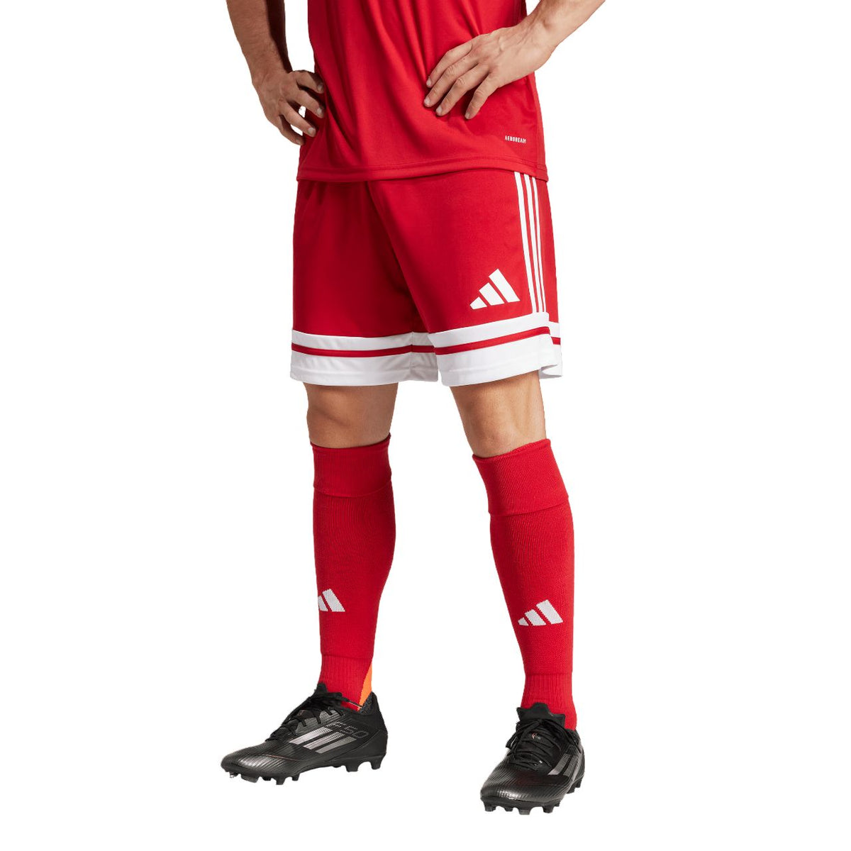 Adidas Squadra 25 Shorts – rot