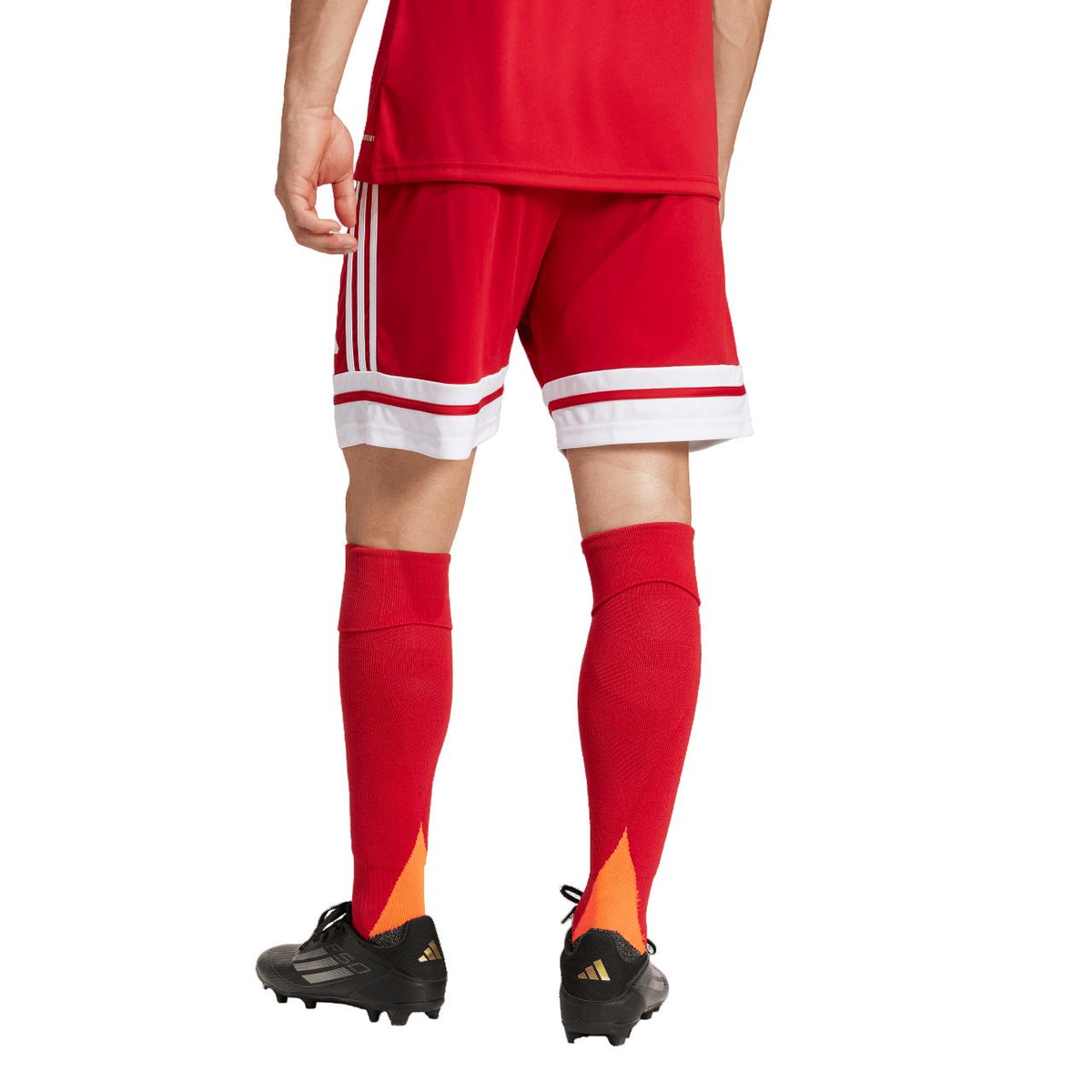 Adidas Squadra 25 Shorts – rot