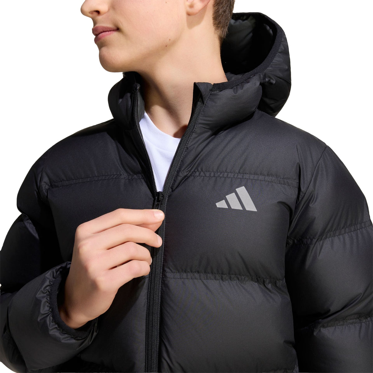Adidas J SD JKT