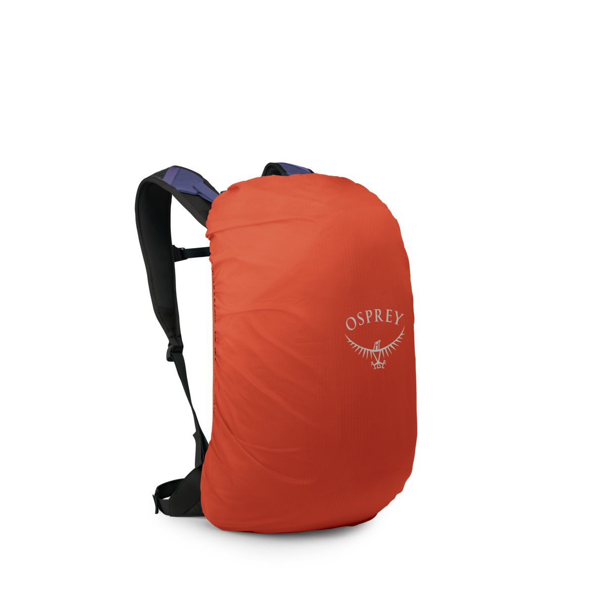 Osprey Hikelite LT 22