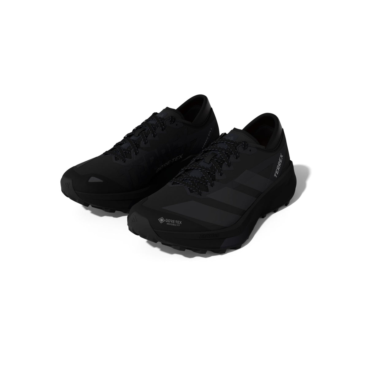 Adidas TERREX AGRAVIC GTX 2