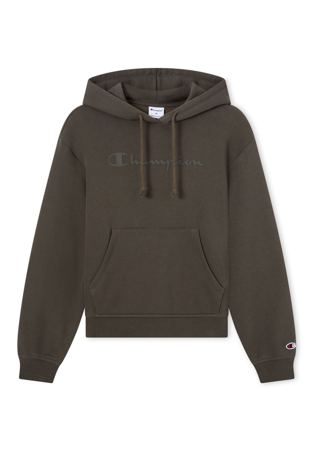 Champion SPORTWEAR HOODIE Standard Fit – grün