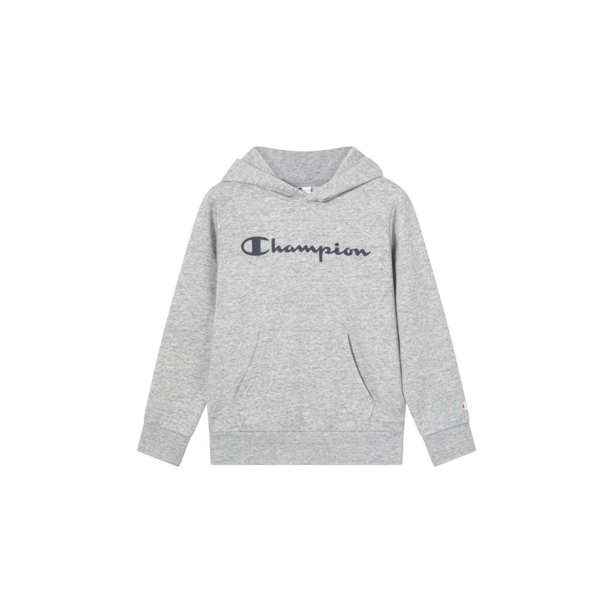 Champion SPORTWEAR HOODIE Standard Fit – grau