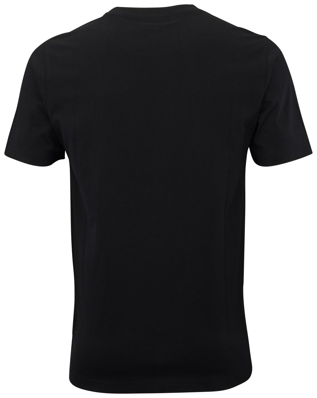 Cygnus ADULT T-SHIRT BEAR – schwarz