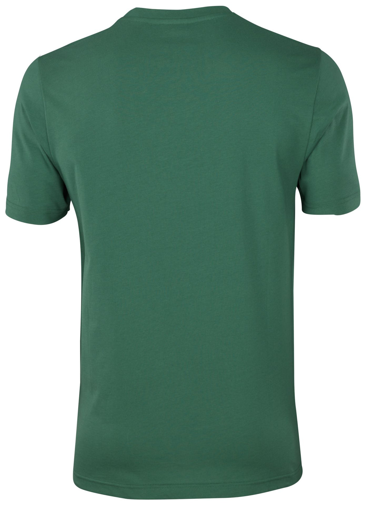 Cygnus ADULT T-SHIRT BEAR – grün