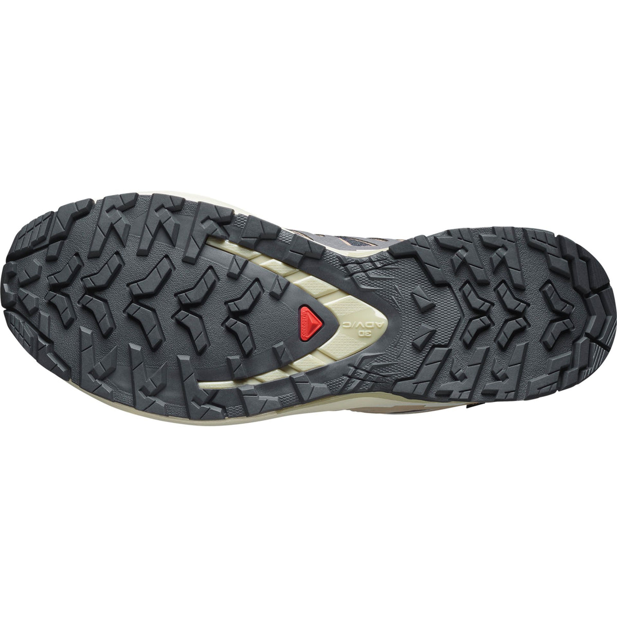 Salomon XA PRO 3D V9 GTX – grau