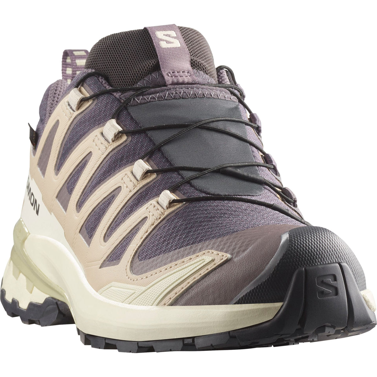 Salomon XA PRO 3D V9 GTX – grau