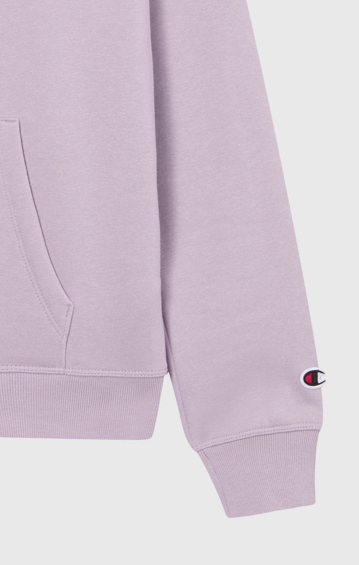 Champion ICONS TONAL Hoodie