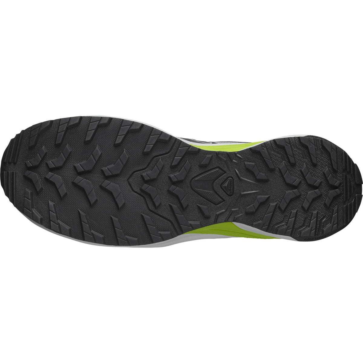 Salomon Exaprime
