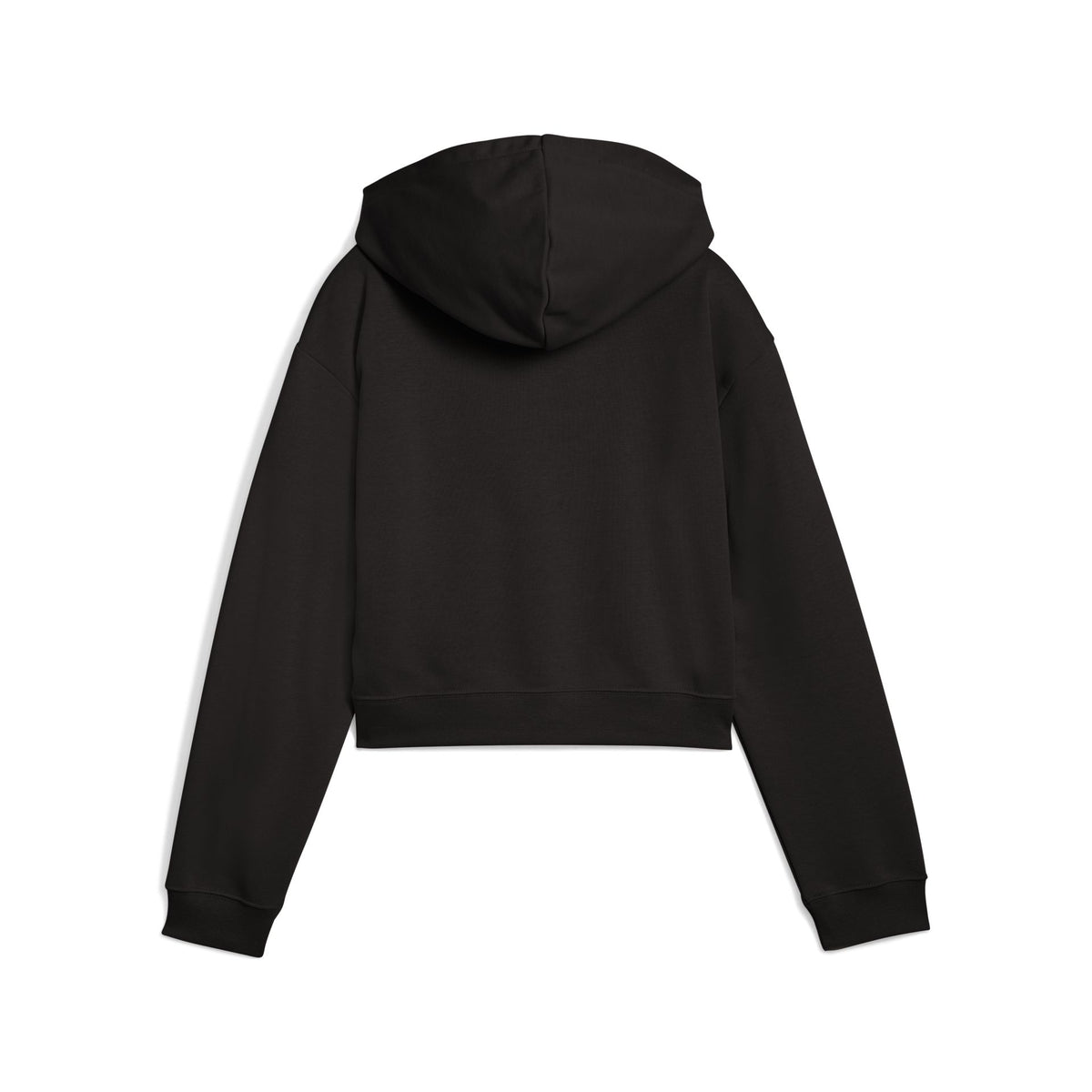 Puma ESS 2 COLOR No. 1 Logo Short Length Hoodie TR G