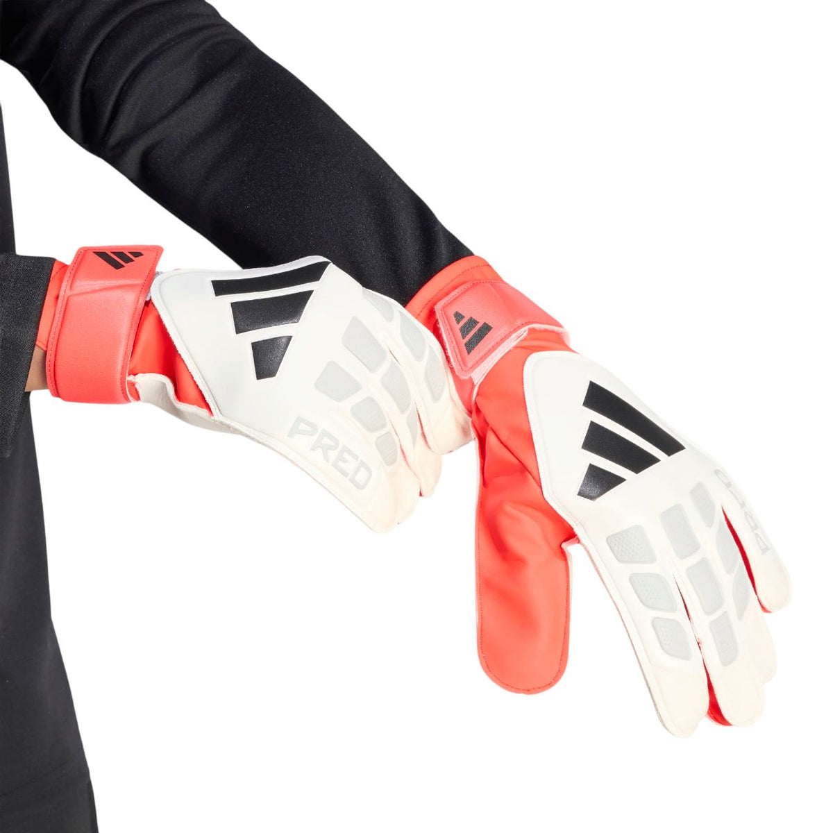 Adidas Predator Training