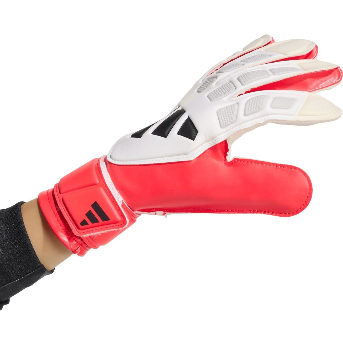 Adidas Predator Training J