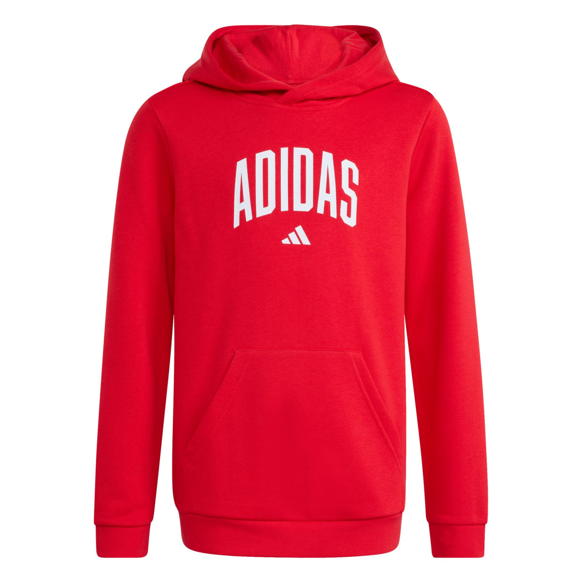 Adidas Codes Collegiate Graphic Hoodie