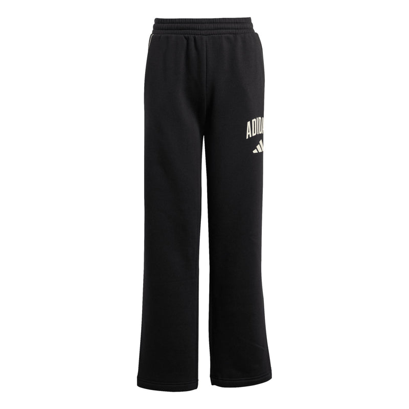 Adidas Seasonals Collegiate Typography Pant