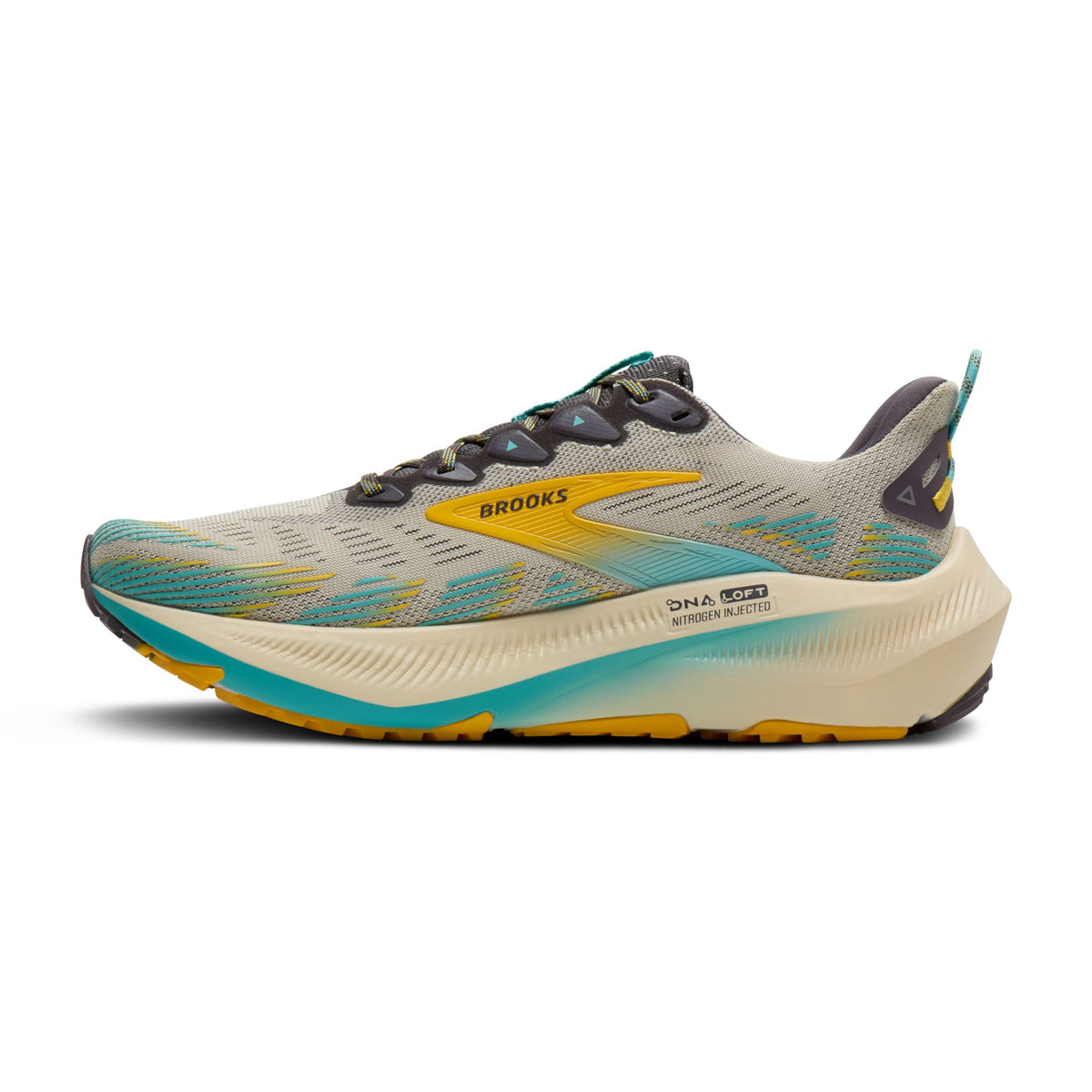 Brooks Ghost Trail