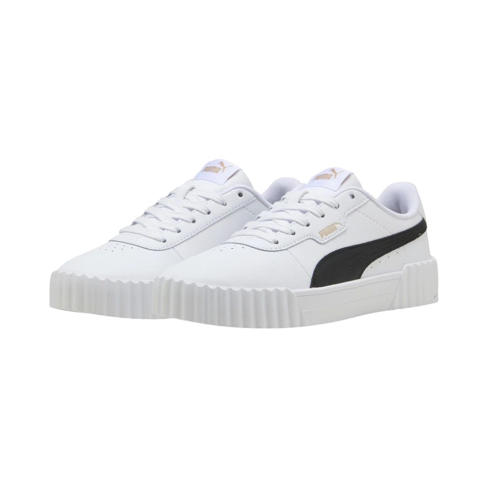 Puma Carina 3.0