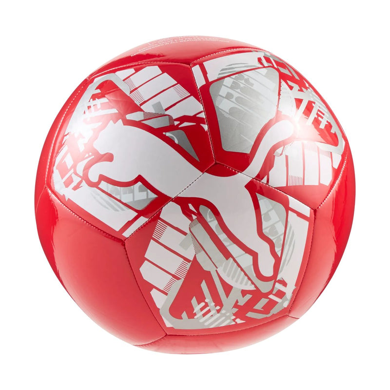 Puma PUMA BIG CAT ball