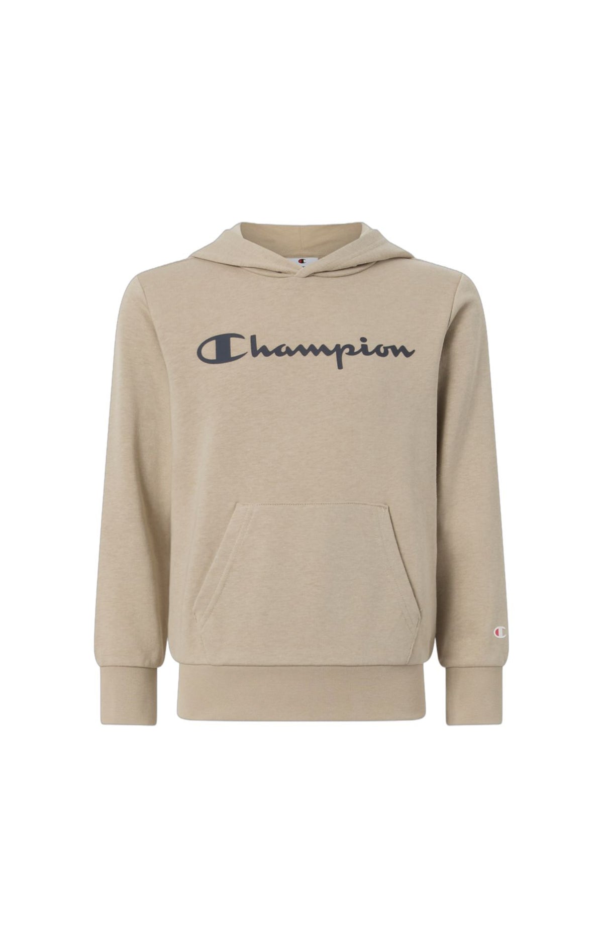 Champion Hooded Sweatshirt