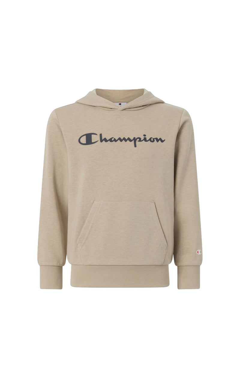 Champion Hooded Sweatshirt