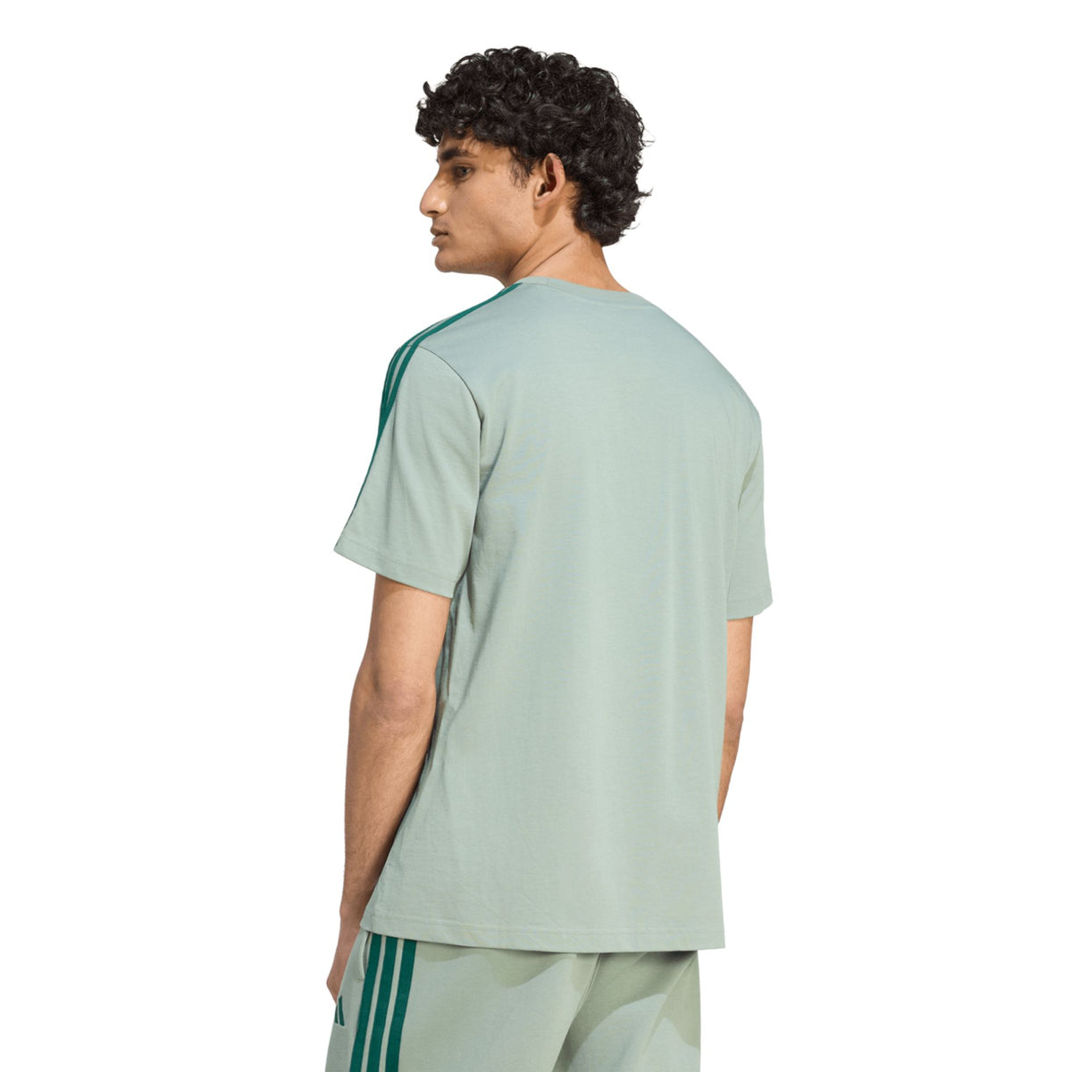Adidas M 3S SJ LC T – grün