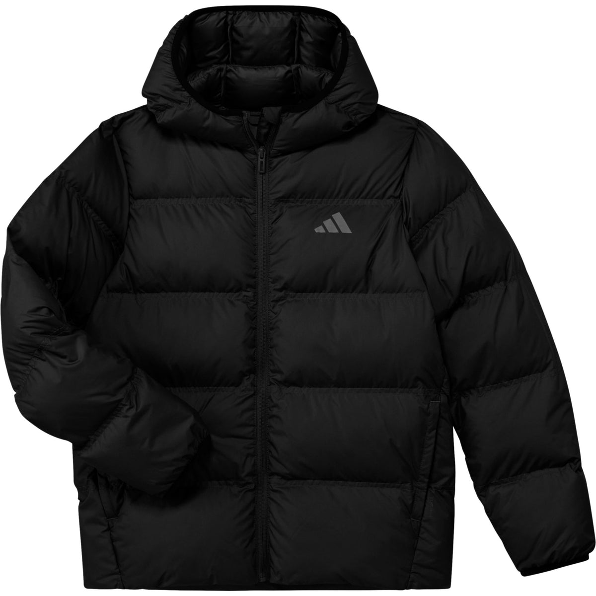 Adidas J SD JKT