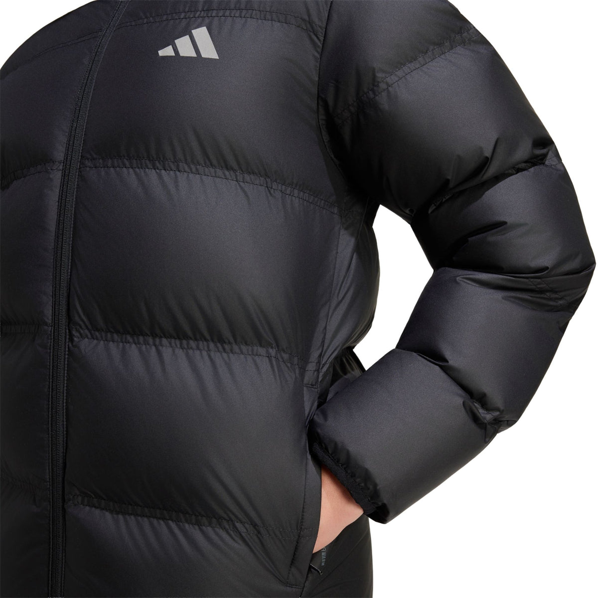Adidas J SD JKT