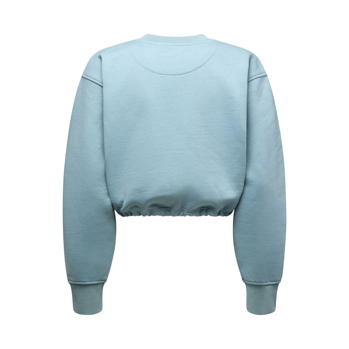 La Sportiva Heritage Logo Crop Sweater W