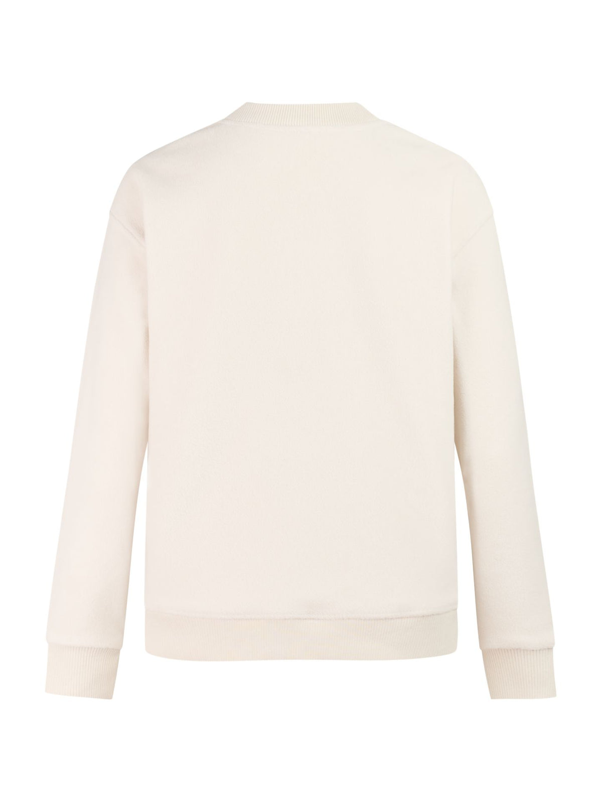 Protest PRTHawks sweatshirt