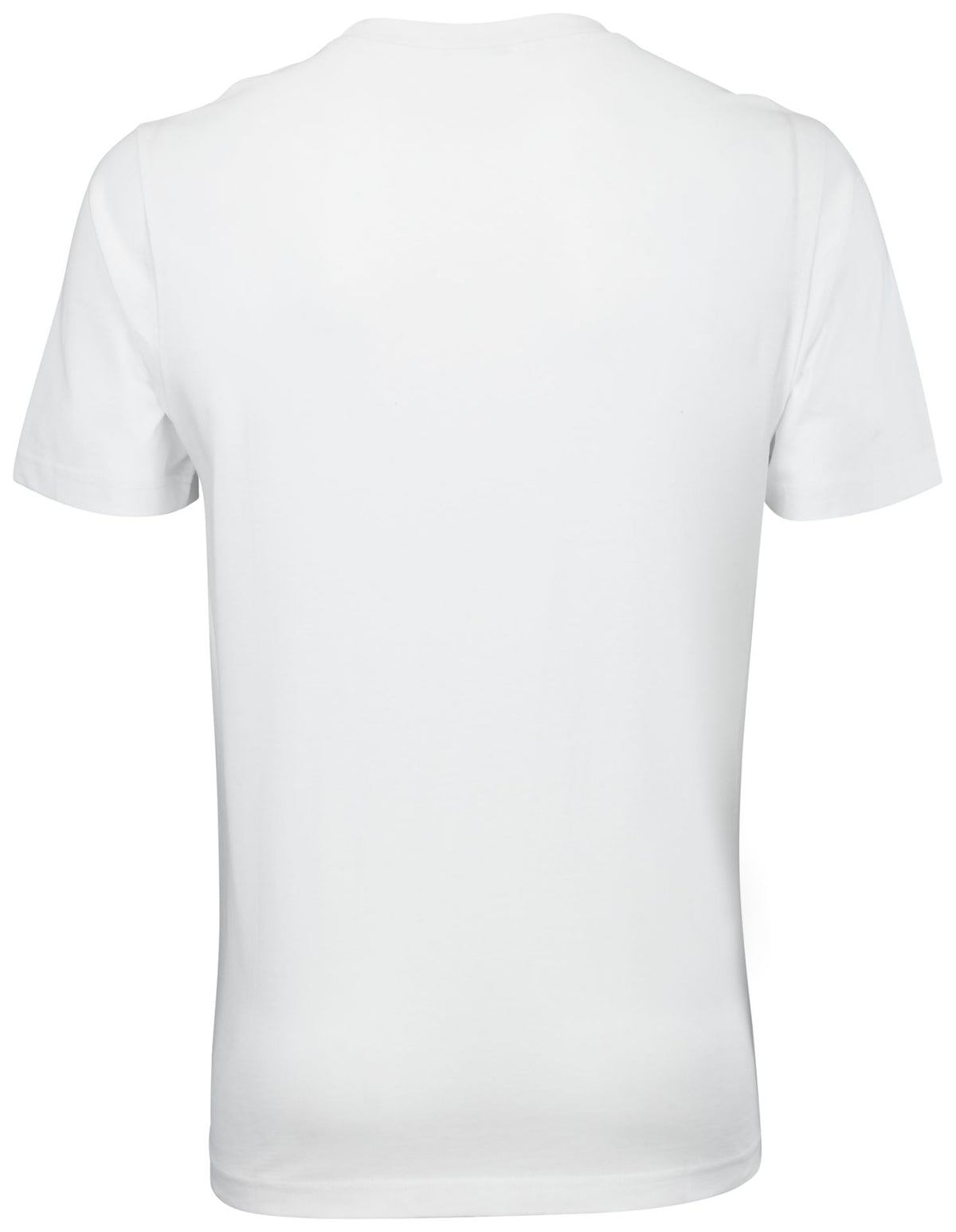 Cygnus ADULT T-SHIRT BEAR – weiß